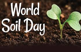 World જમીન દિવસ