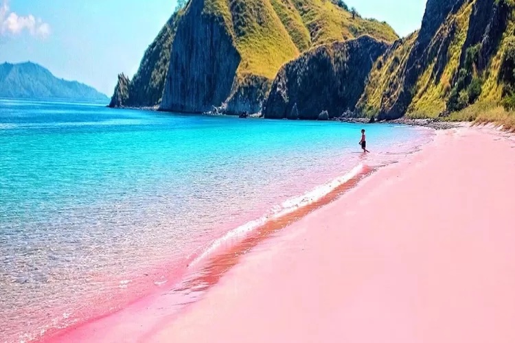 Indonesia ના કોમોડો ટાપુ પર સ્થિત ‘ગુલાબી બીચ’ ના અદ્ભૂત દ્રશ્યો