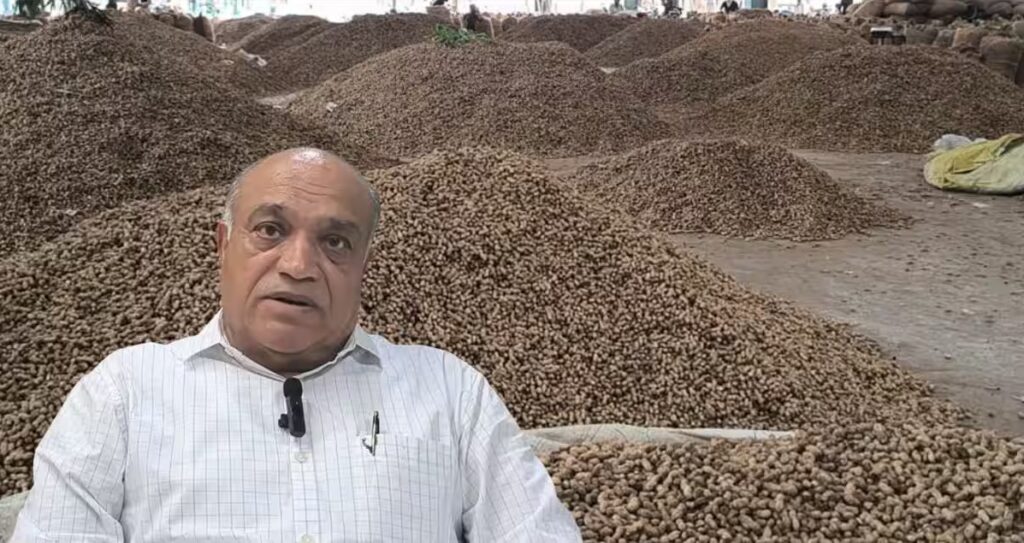 Bhavnagar મહુવા યાર્ડના પૂર્વ ચેરમેનનો ધડાકો, સરકાર ટેકાના ભાવે મગફળી ન ખરીદે