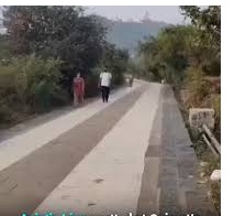 Bhavnagar: પ્રસિદ્ધ જૈન તીર્થધામ પાલીતાણામાં શ્રદ્ધાળુઓ સાથે સિંહોની લટાર