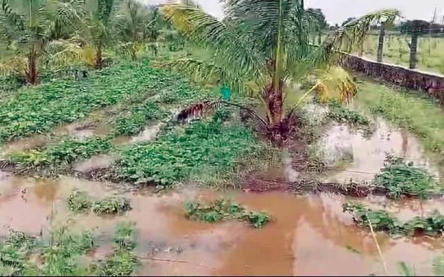 Gujarat માં કમોસમી વરસાદે છેલ્લા ૧૦ વર્ષનો રેકોર્ડ તોડ્યો