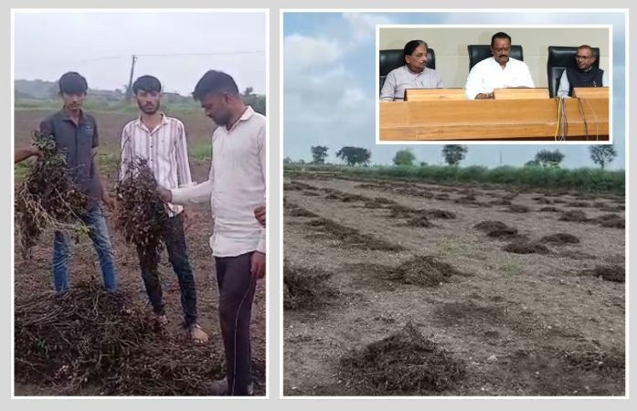 Gujarat માં ખેડૂતોને હેક્ટર દીઠ રૂ.૨૨ હજારનું વળતર