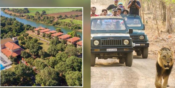 Gir Forest આસપાસના રિસોર્ટસ પર લટકતી તલવાર : હાઈકોર્ટે તપાસ રિપોર્ટ માંગ્યો