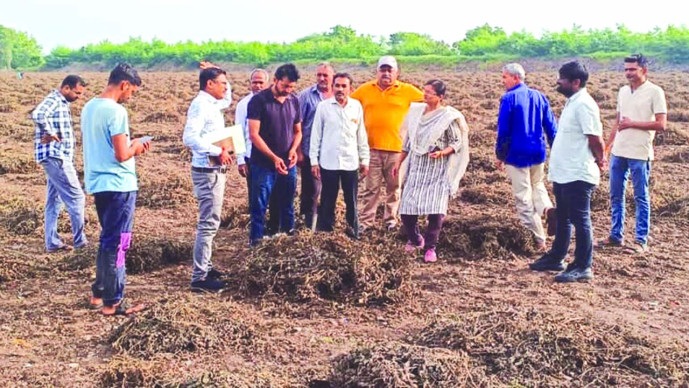 Jamnagar જિલ્લા વહીવટી તંત્ર અને ખેતીવાડી વિભાગની 332 ટીમો દ્વારા સર્વે પૂ