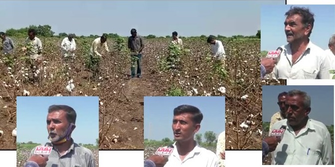 રાહત પેકેજ,Junagadh જિલ્લાના મેંદરડાના ખાલપીપલી ગામના ખેડૂતોએ પ્રદર્શન કર્યું