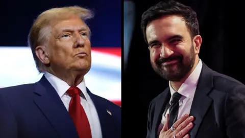 ભારતીય મૂળના ટ્રમ્પ વિરોધી નેતા મમદાનીની ન્યૂ યોર્કના મેયર તરીકે ચૂંટણી-શું આ ભારત માટે ગર્વ છે કે પડકાર?