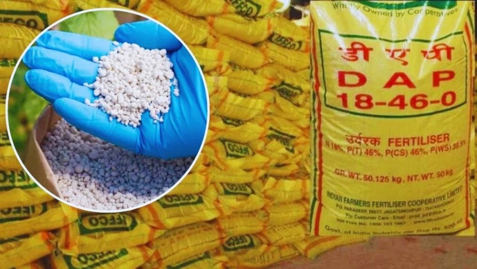 Ahmedabad: ખાતરની અછત રોકવા દેશવ્યાપી દરોડા