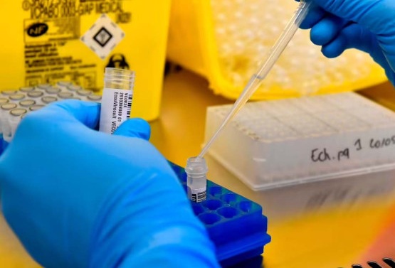 વૈજ્ઞાનિકો એ અનોખી Antibody વિકસાવી : નવા વાઇરસને વધવા નહીં દે