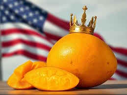 America માં ભારતીય કેરીની ધૂમ, બજાર $1 અબજને વટાવી ગયું