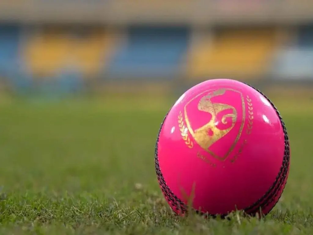 Test matches માં ગુલાબી બોલને ICCની મંજૂરી : ડ્રિંકસ બ્રેકમાં કોચને મેદાન પર જવાની છૂટ
