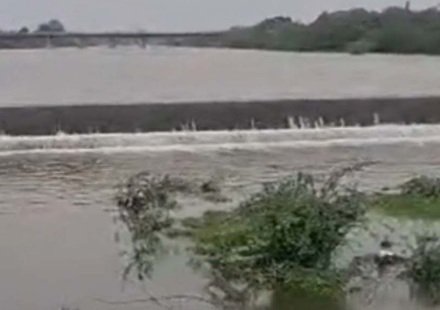 Surendranagar ચુડાનાં ભૃગુપુરનો ચેકડેમ ઓવરફલો