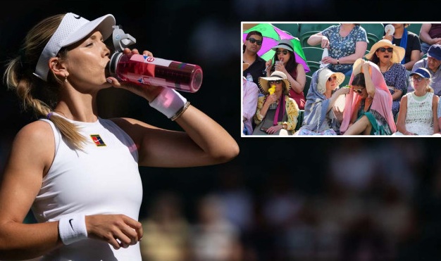 Wimbledon માં ગરમીનો કહેર : પ્રથમ વખત અમલમાં આવ્યો “Heat Stress Index”