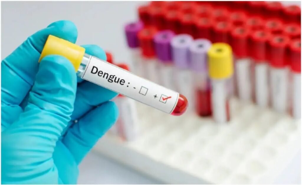 Dengue મુક્ત ગુજરાત: સાવચેતી, સ્વચ્છતા અને સમયસર સારવારથી જ શક્ય બનશે મચ્છરજન્ય રોગચાળાનું નિયંત્રણ