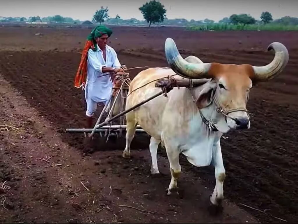 વિકાસ ત્યારે જ ધ્યાનમાં લેવામાં આવશે જ્યારે ખેડૂતોની જમીન માટે આદર, વાજબી વળતર