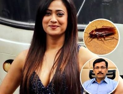 Shweta Tiwari ના ઓનલાઇન ઓર્ડરમાંથી નીકળ્યા કૉકરોચ