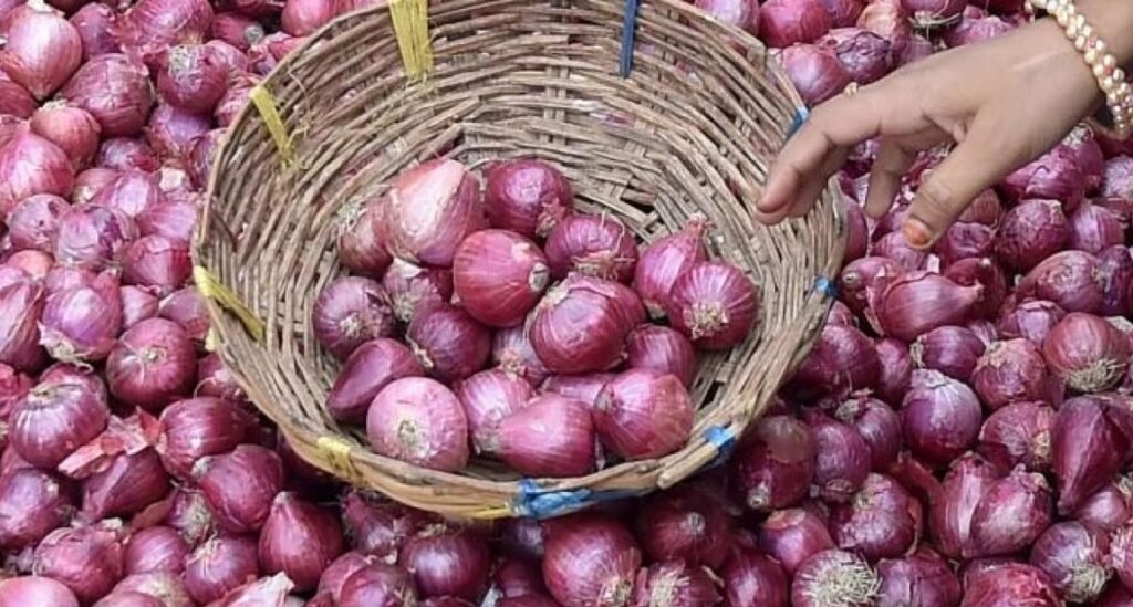 ડુંગળીના ભાવમાં કિલોએ રૂપિયા ૪૨ પહોંચતાં ગૃહિણીઓનું બજેટ ખોરવાયું