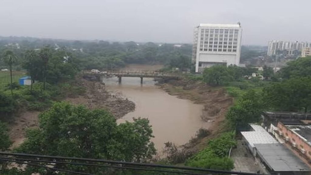 Vadodara: વિશ્વામિત્રીમાં કચરો ફેંકવાની સમસ્યા અટકાવવા રૂ.73.22 લાખના ખર્ચે ફેન્સિંગ કરાશે