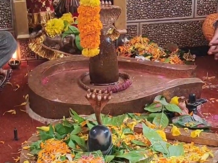 Ahmedabad: શ્રાવણના છેલ્લા સોમવારે મહાદેવના દરબારમાં ભક્તોની ભીડ,વિવિધ કાર્યક્રમોનું આયોજન
