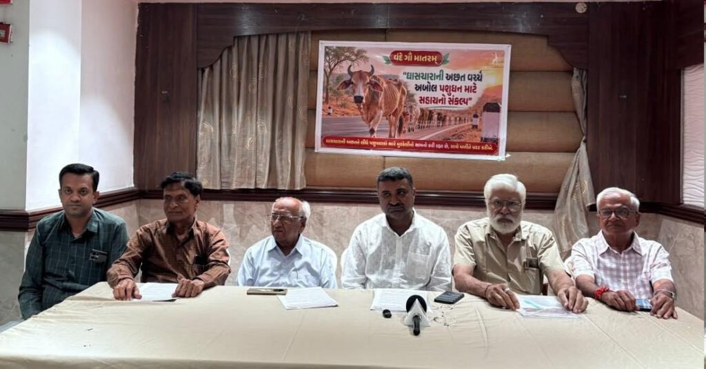 Rajkot: ગુજરાતમાં વરસાદની અછત વચ્ચે ઘાસચારાની કારમી તંગી, અબોલ પશુધન સામે ગંભીર સંકટની ભીતિ