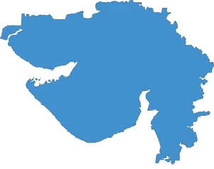 New Delhi ગેરકાયદેસર લિંગ પરીક્ષણ મામલે ગુજરાત દેશમાં બીજા ક્રમે