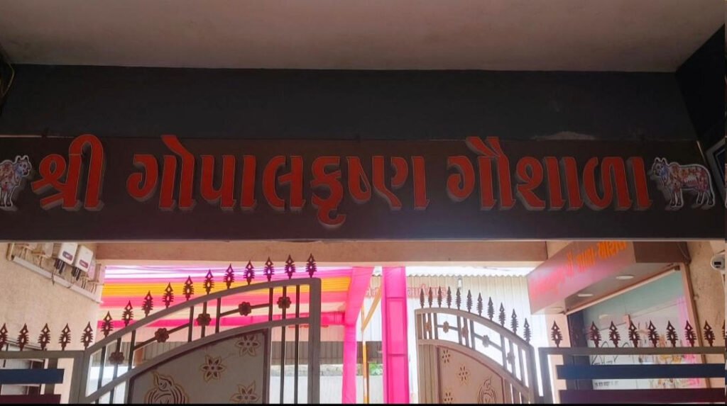 Mangrol ગૌ શાળા ખાતે બર્ફીલા બાબા અમરનાથ દર્શનની તડામાર તૈયારીઓ
